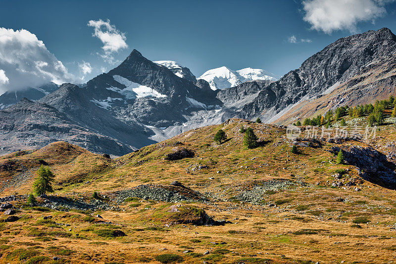 伯尔尼纳山脉瑞士阿尔卑斯山风景Grisons Graubunden瑞士